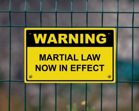 Martial Law in Ukraine, Lawforeverything
