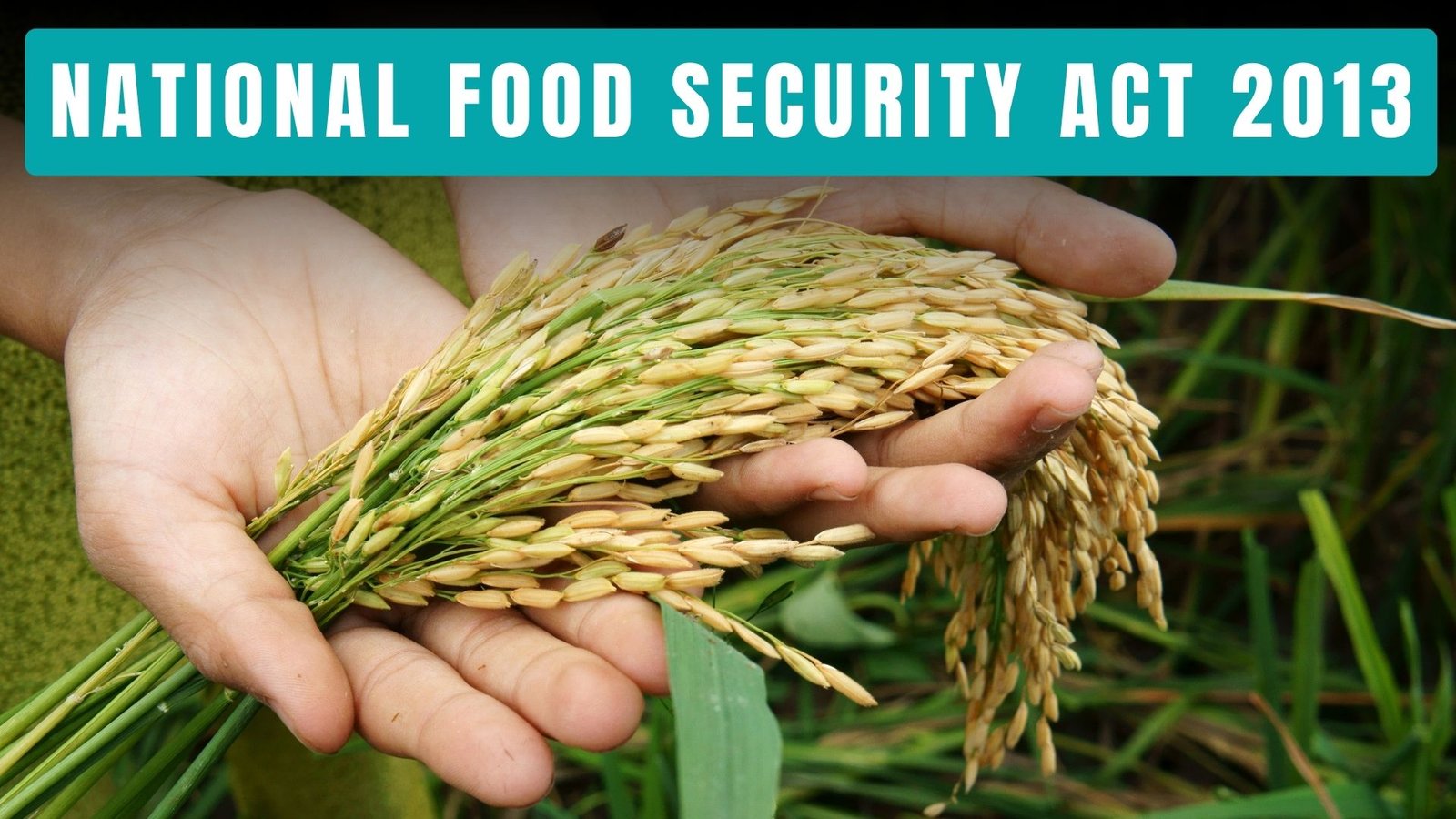 National Food Security Act 2013, Lawforeverything