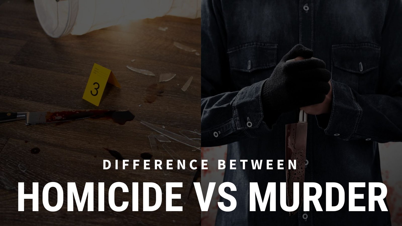 Homicide vs Murder, Lawforeverything