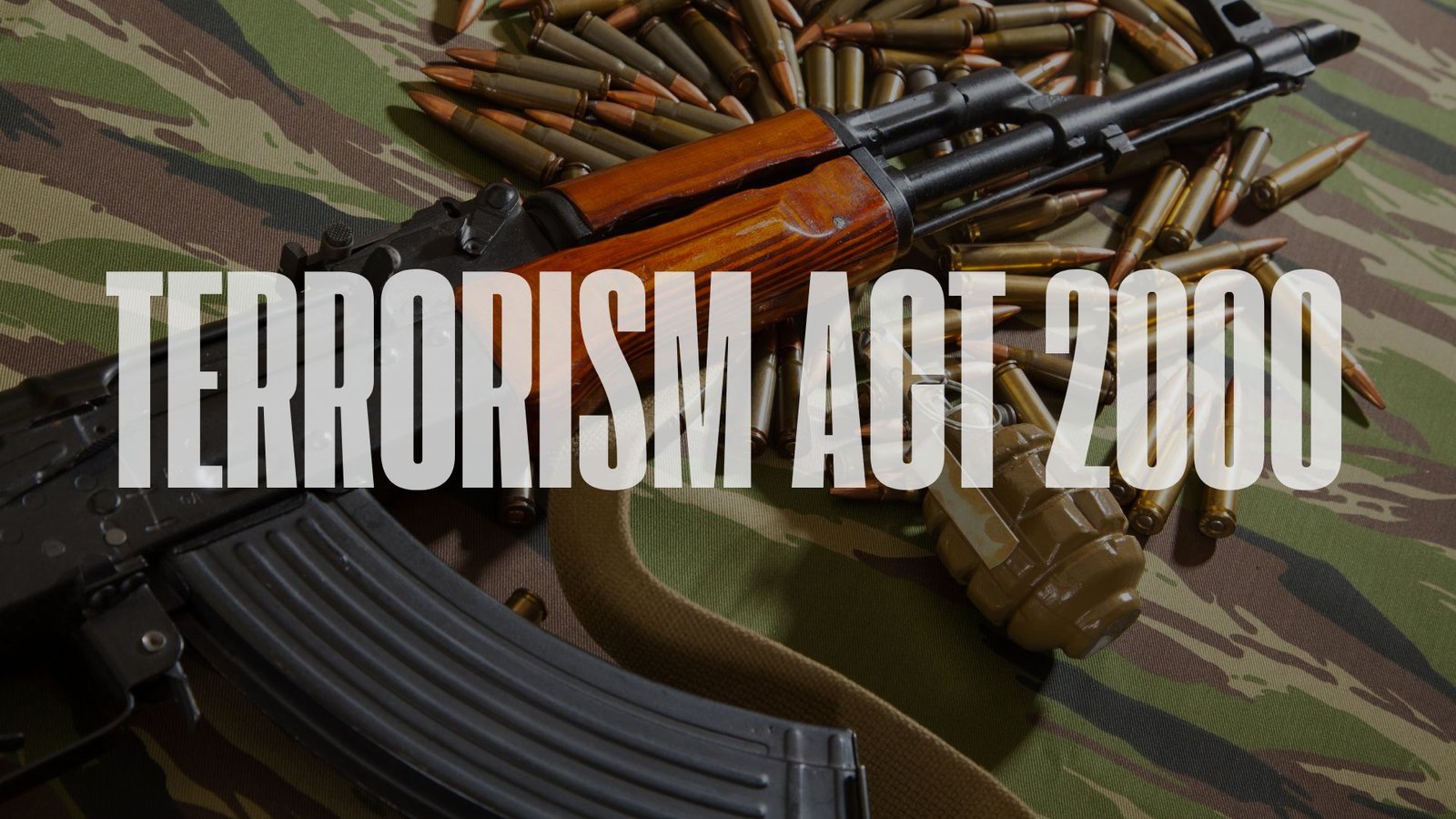 Terrorism Act 2000, Lawforeverything