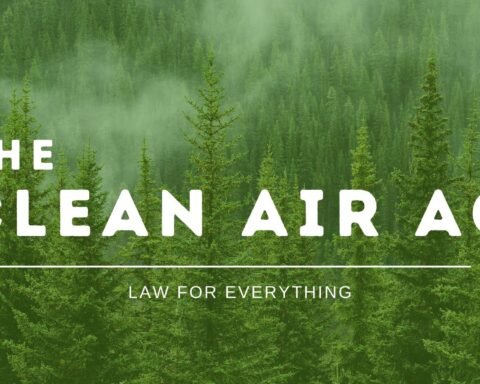 the Clean Air Act, Lawforeverything
