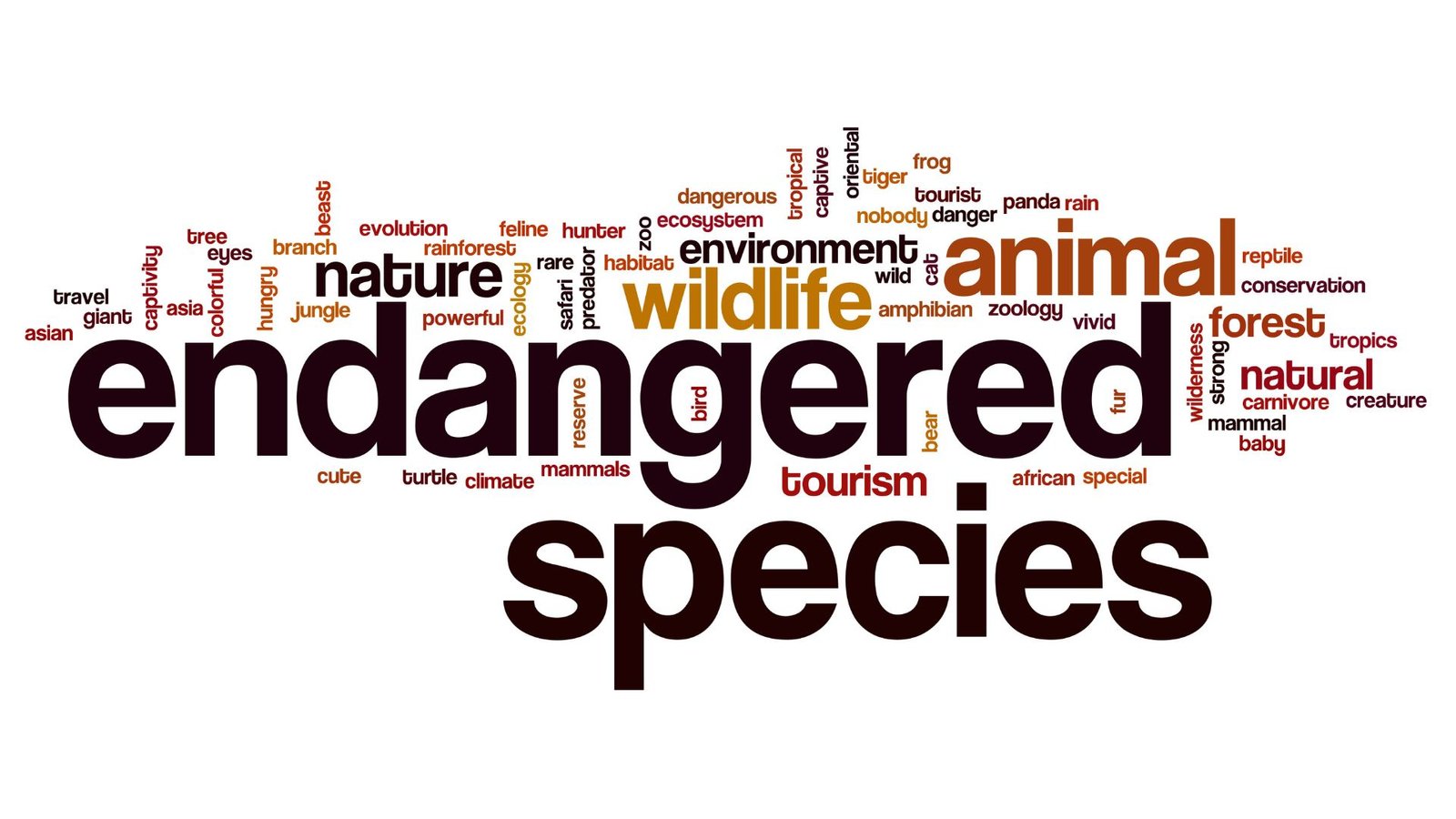 The Endangered Species Act, Lawforeverything
