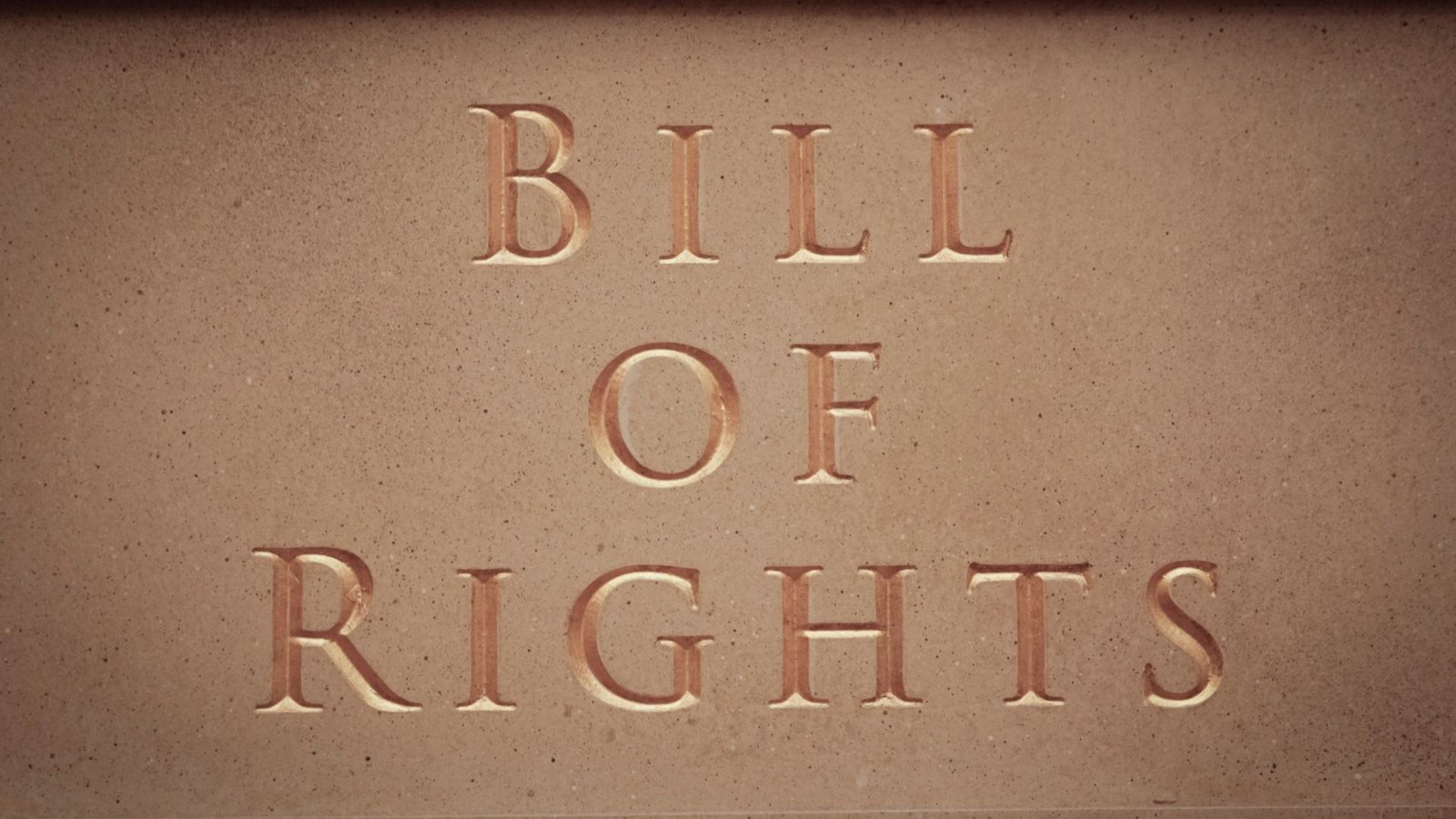 The Bill of Rights 1689, Lawforeverything