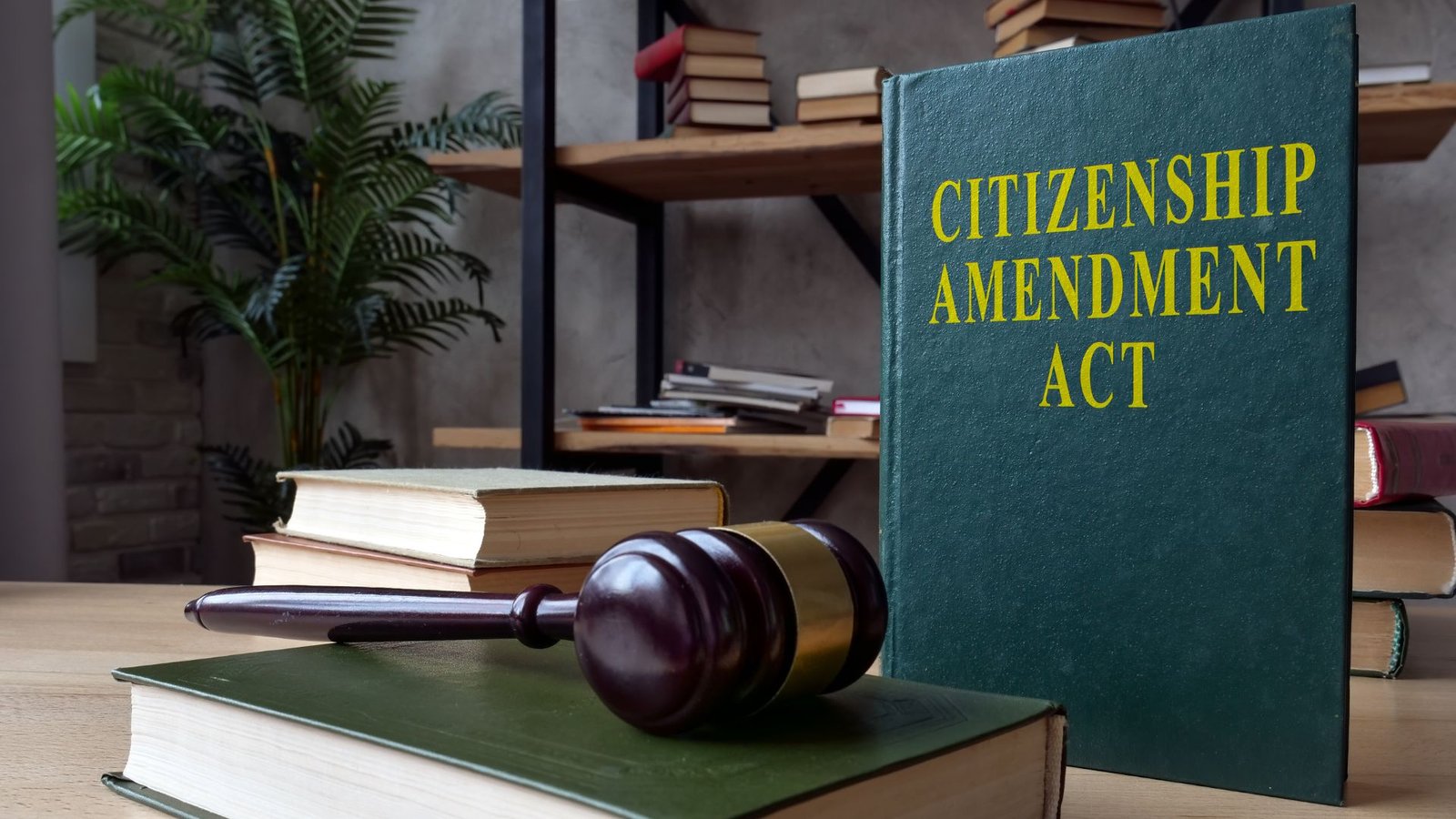 caa citizenship amendment act 2019, Lawforeverything