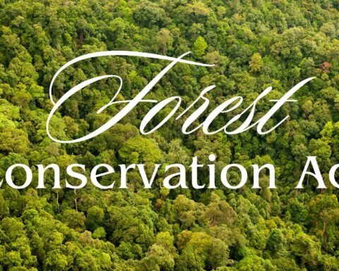 Forest Conservation Act 1980, Lawforeverything