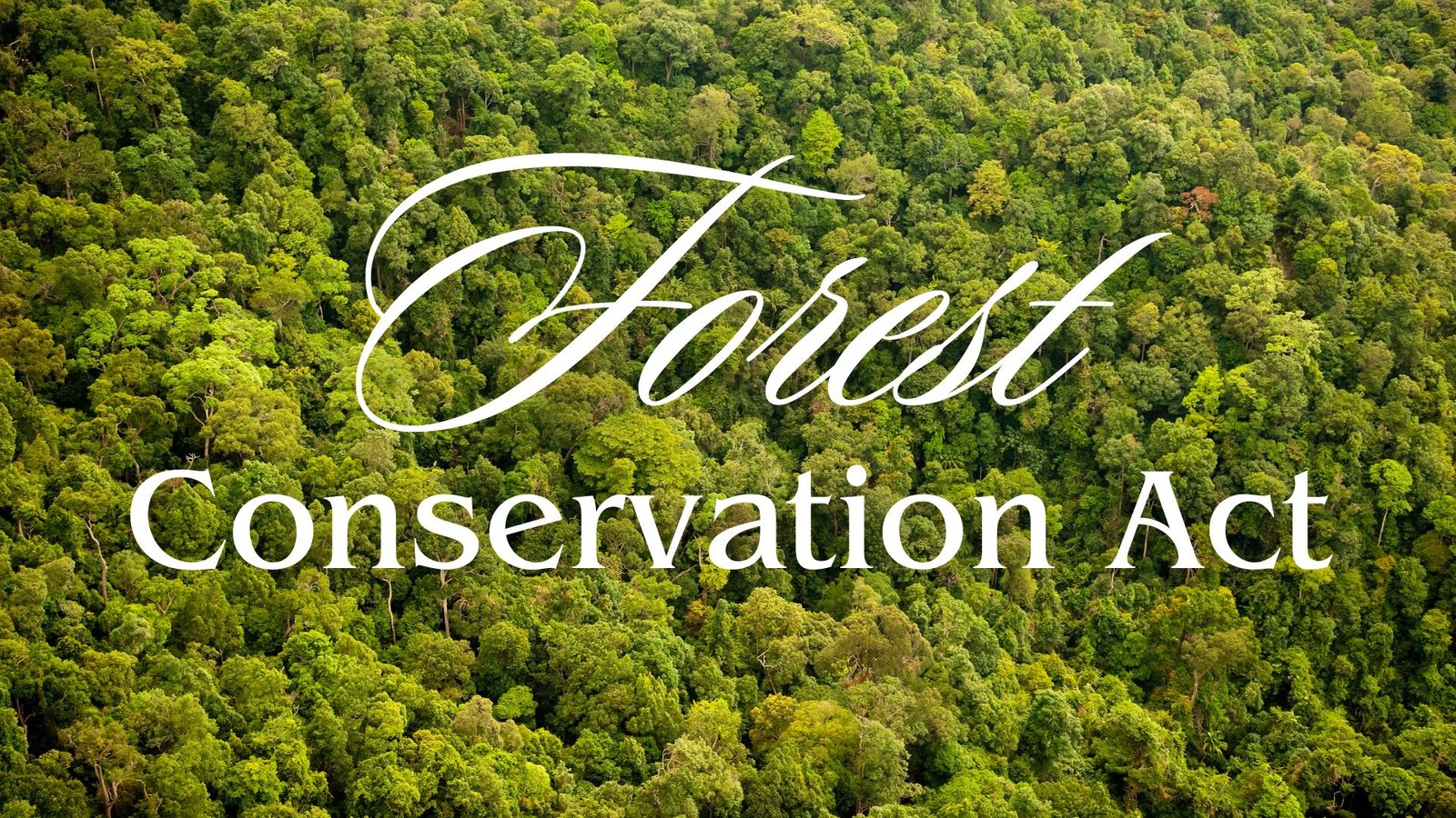 Forest Conservation Act 1980, Lawforeverything