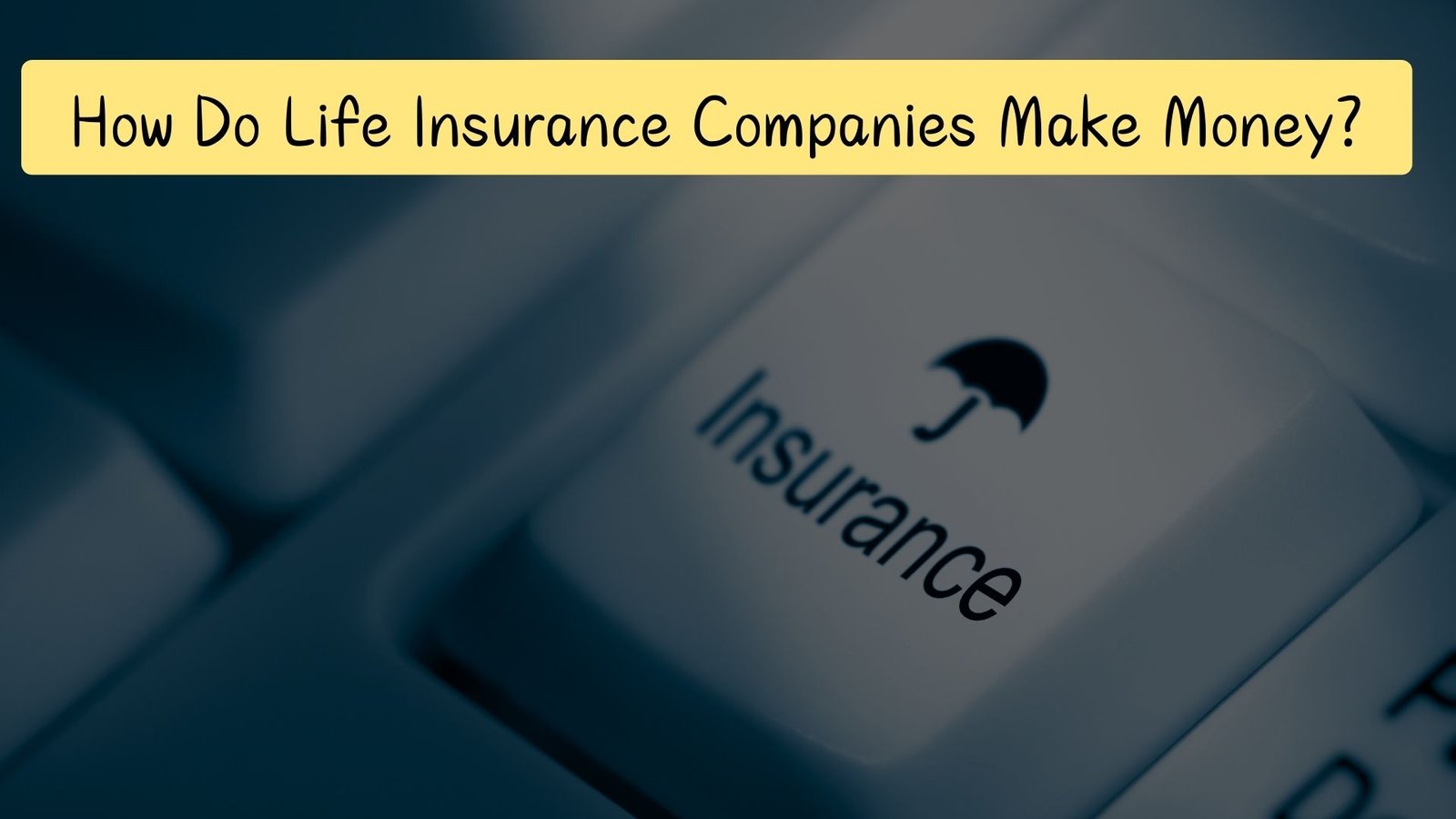 How Do Life Insurance Companies Make Money, Lawforeverything