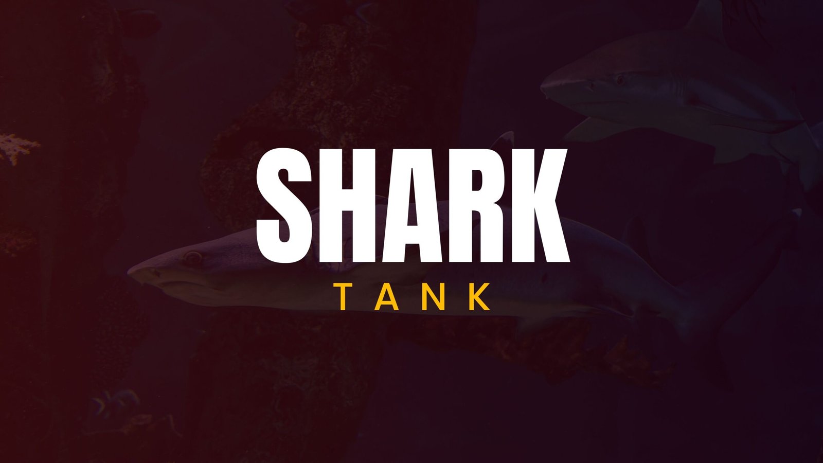 Shark Tank, lawforeverything