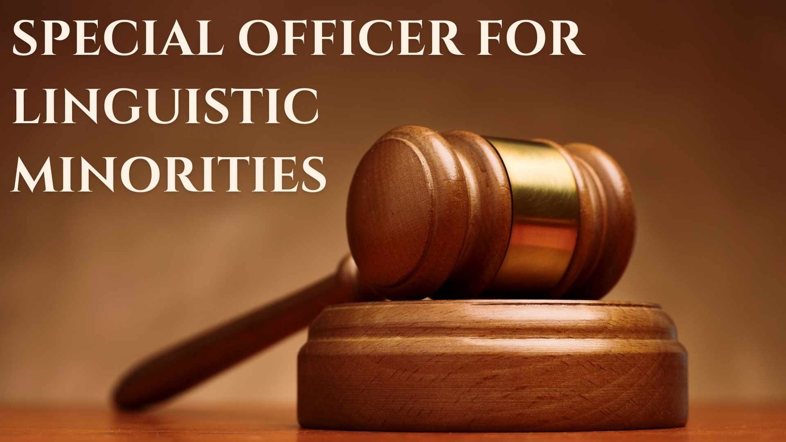 Special Officer for Linguistic Minorities, Lawforeverything