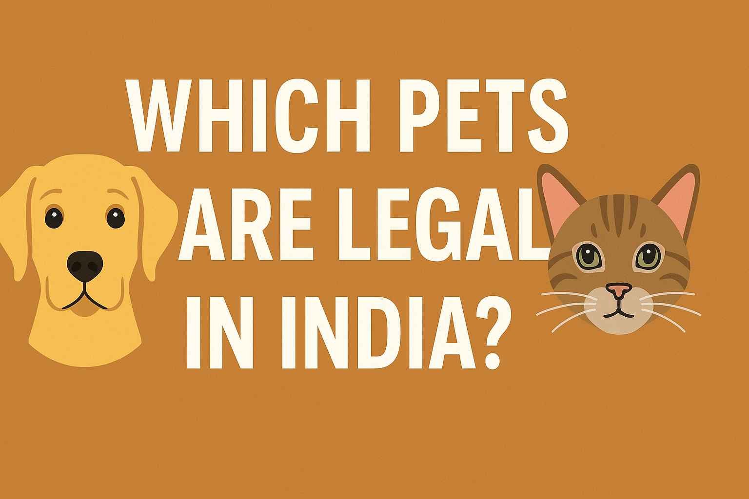 Which Pets Are Legal in India,Lawforeverything